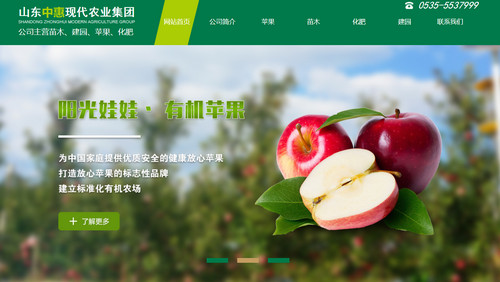為什么說網(wǎng)站需要精心維護(hù)，才會帶來詢盤